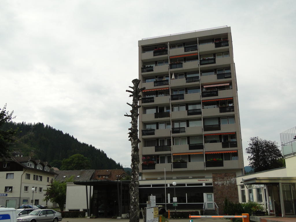 Alb Studio St. Blasien Bagian luar foto