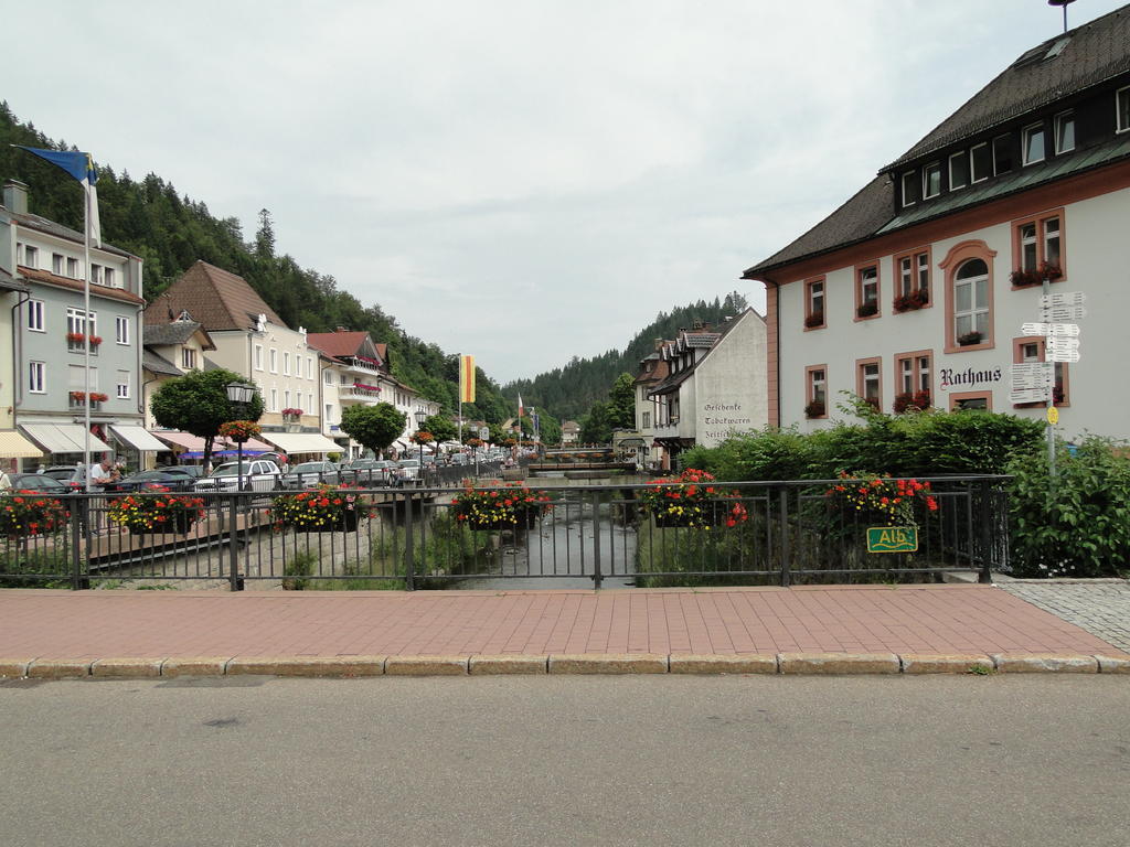 Alb Studio St. Blasien Bagian luar foto