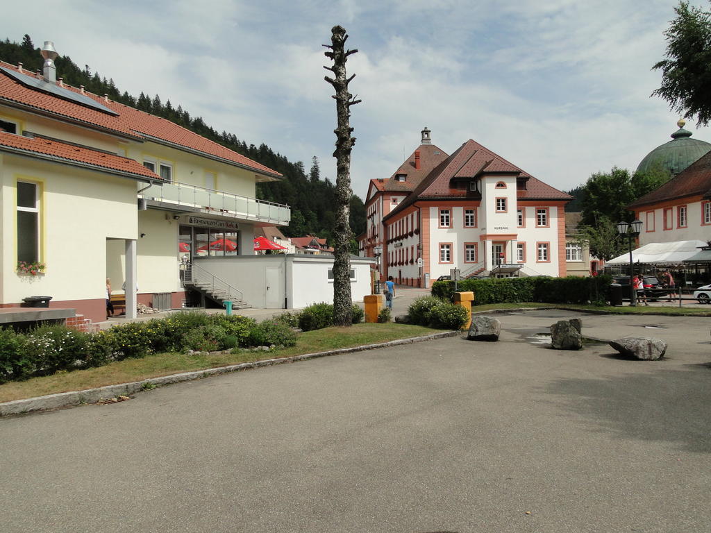 Alb Studio St. Blasien Bagian luar foto